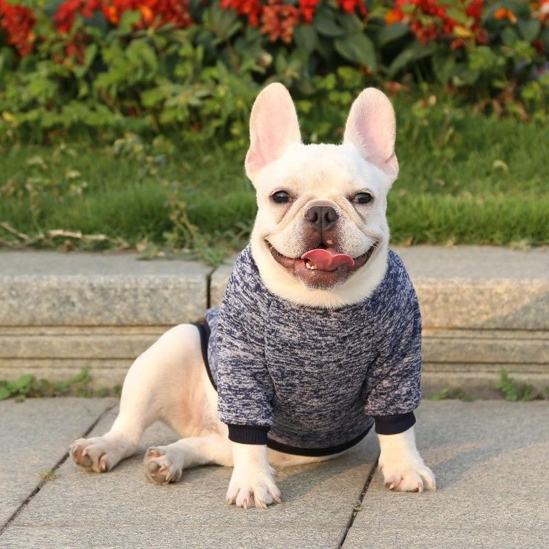 Πολλαπλά ρούχα για κατοικίδια ζώα Casual Style Dog Winter Warm Coat for Outdoor Wear σε μεγέθη XS-2XL
